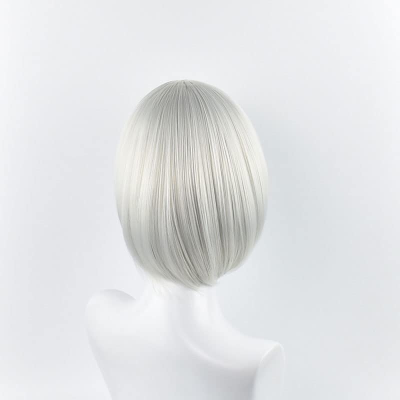 Short Sliver Cosplay Wigs for  - Men'S Accessories Types review and price